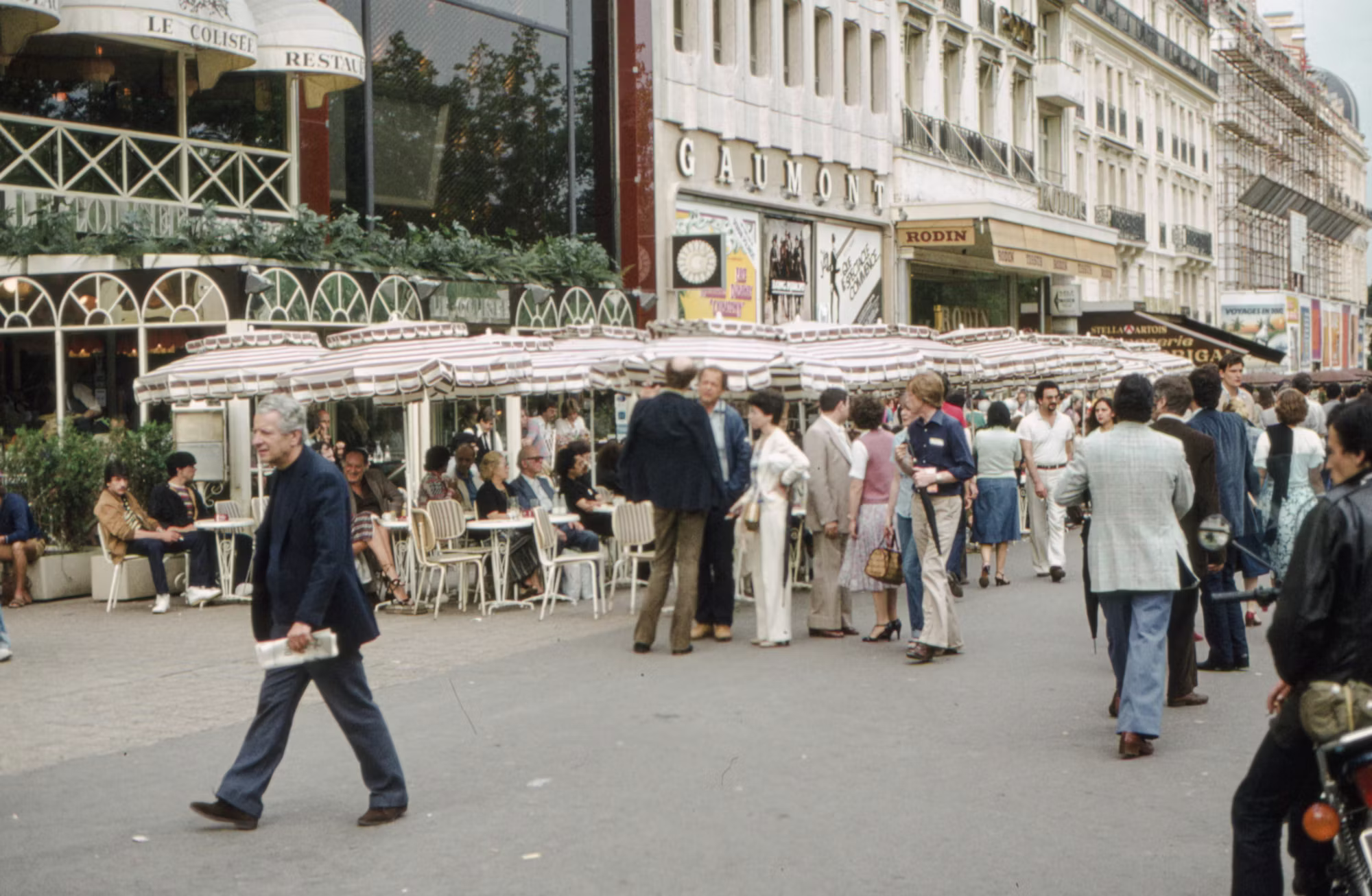 The Allure of Book Cafés: A Sanctuary for Readers and Writers